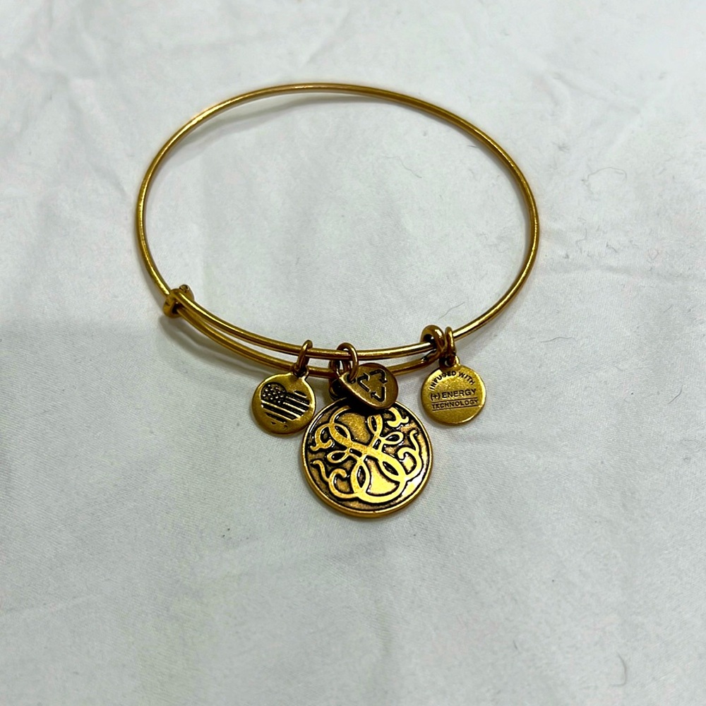 Alex and Ani Celtic Charm Bracelet gold